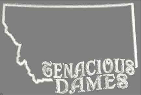 Dames Long sleeve Shirt (Ladies V-Neck)- Design #4 MT Outline